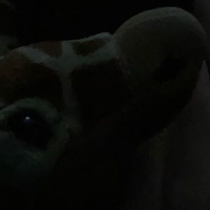 Meet your Posher, Ruben